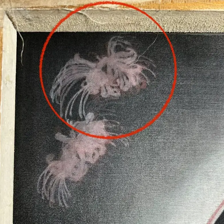 背面先上白色胡粉墊底